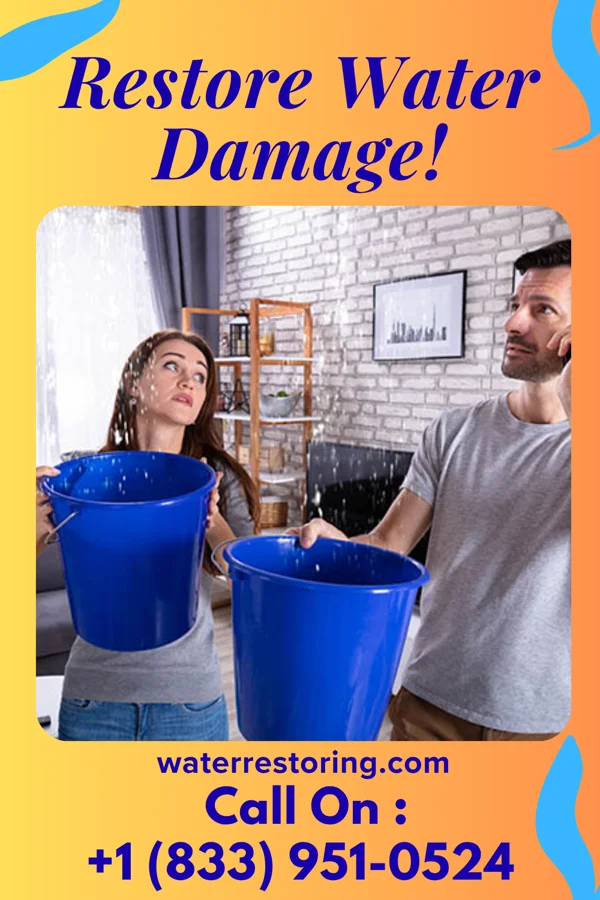 water restoration United Extraction Solutions Vermillion