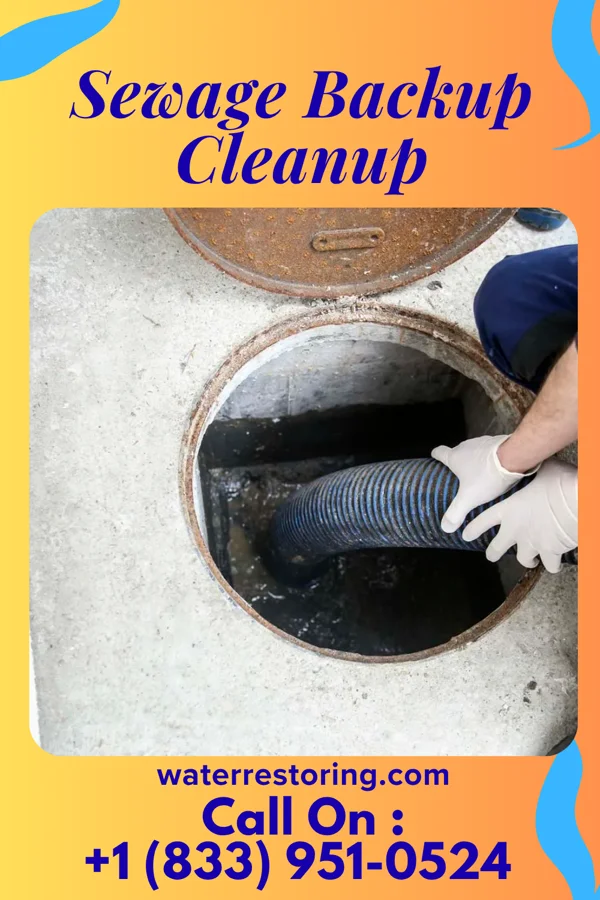 Sewage Backup Cleanup in Vermillion, KS